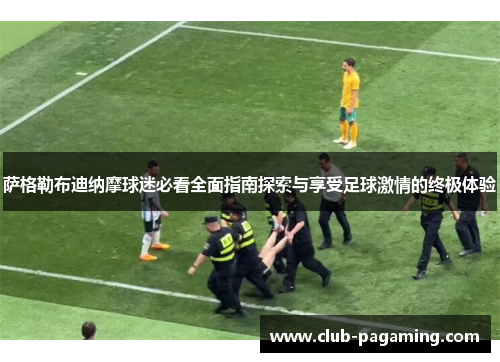 萨格勒布迪纳摩球迷必看全面指南探索与享受足球激情的终极体验