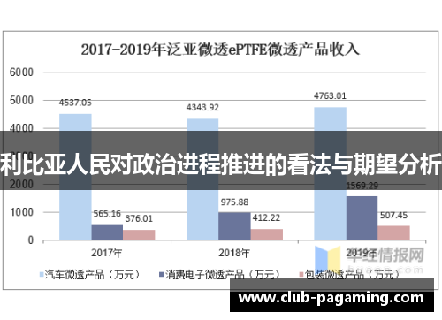 利比亚人民对政治进程推进的看法与期望分析