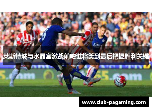 莱斯特城与水晶宫激战前瞻谁将笑到最后把握胜利关键
