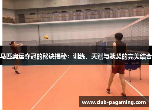 马匹奥运夺冠的秘诀揭秘：训练、天赋与默契的完美结合