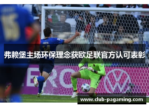 弗赖堡主场环保理念获欧足联官方认可表彰 弗赖堡主场环保理念获欧足联官方认可表彰