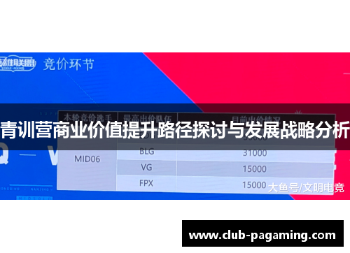 青训营商业价值提升路径探讨与发展战略分析