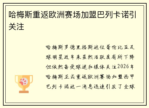 哈梅斯重返欧洲赛场加盟巴列卡诺引关注 哈梅斯重返欧洲赛场加盟巴列卡诺引关注